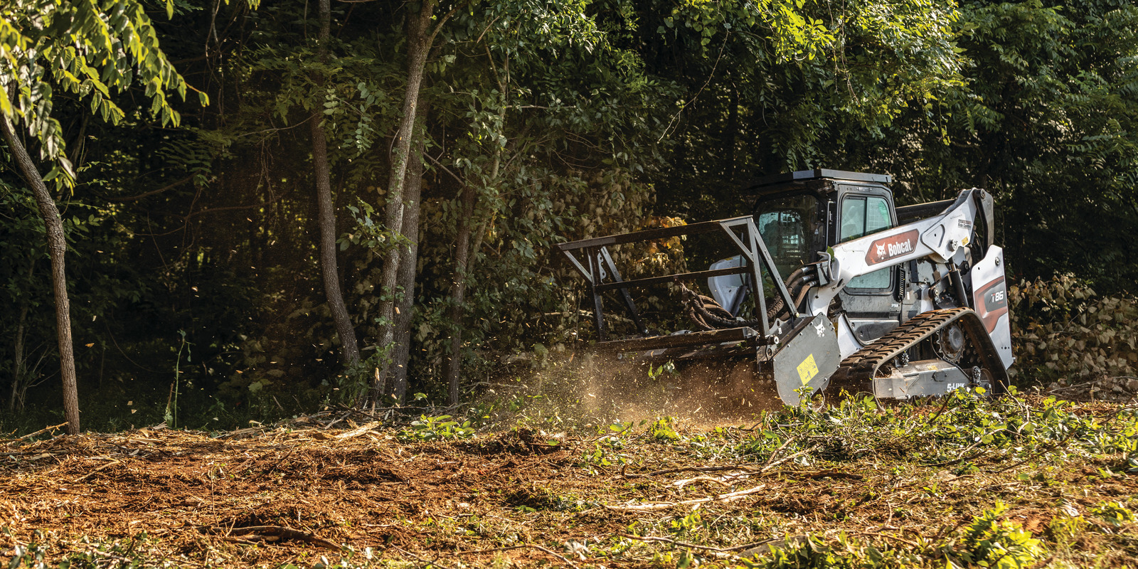 How Much Does Land Clearing Cost? 